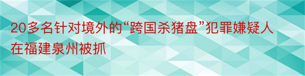 20多名针对境外的“跨国杀猪盘”犯罪嫌疑人在福建泉州被抓