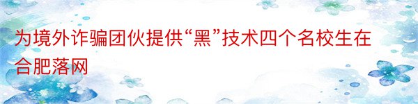 为境外诈骗团伙提供“黑”技术四个名校生在合肥落网