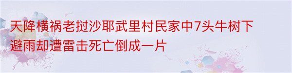 天降横祸老挝沙耶武里村民家中7头牛树下避雨却遭雷击死亡倒成一片